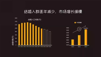 互联网数据资讯中心 199it引领数据服务新纪元